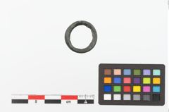 Foto von Bronzering (NHMW-PRAE-023846)